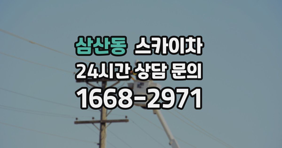 삼산동 스카이차