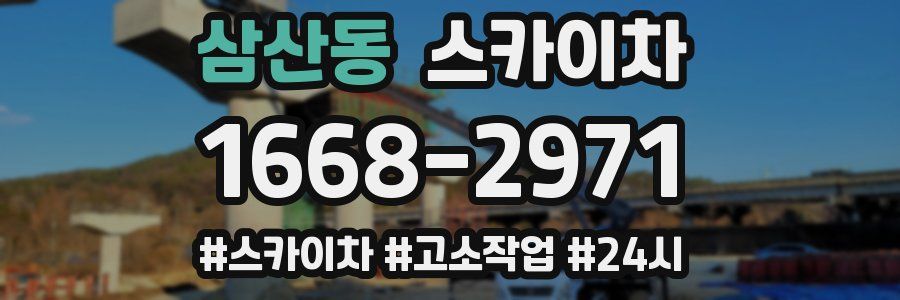 삼산동 스카이차