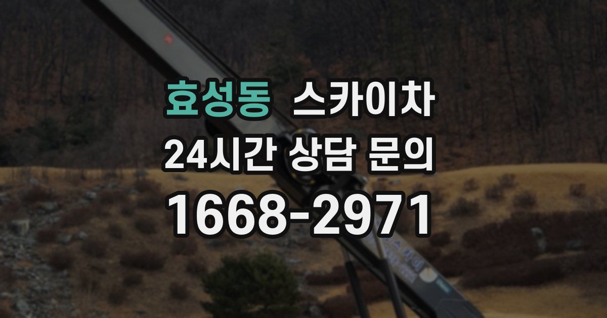 효성동 스카이차