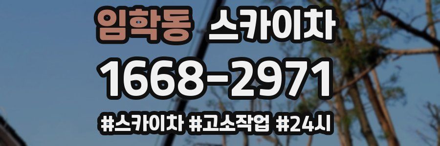 임학동 스카이차