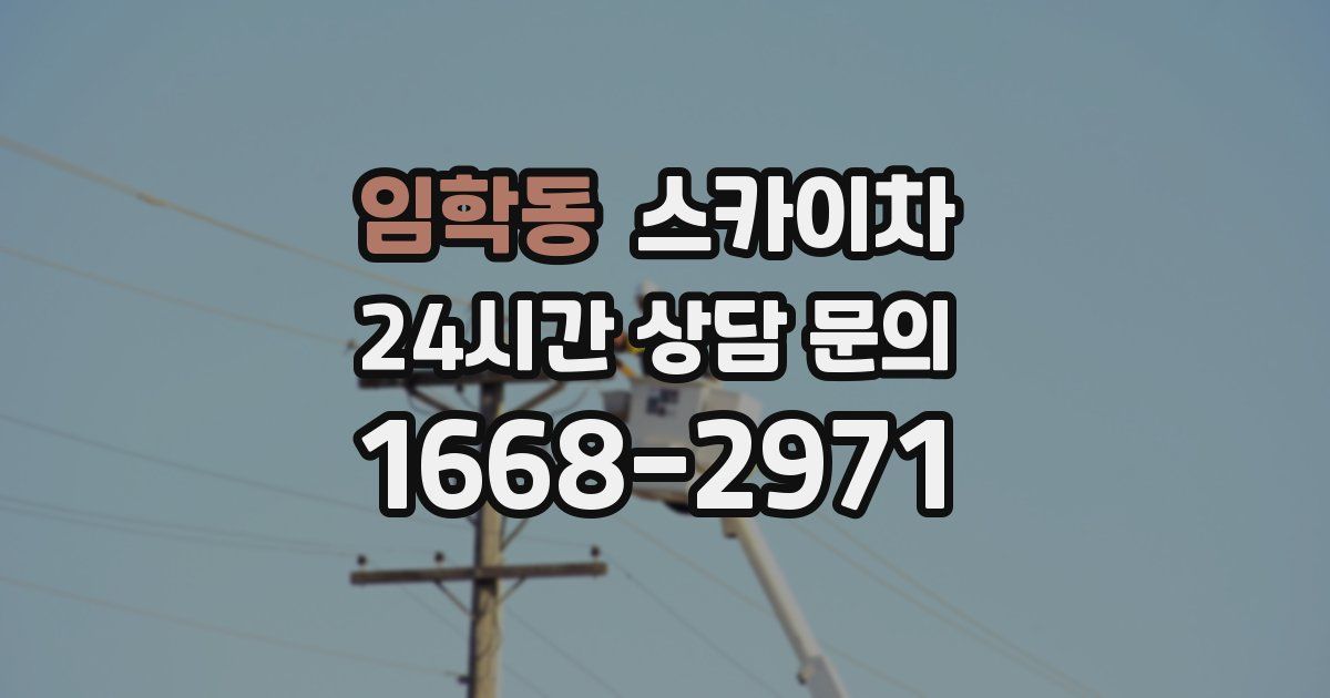 임학동 스카이차