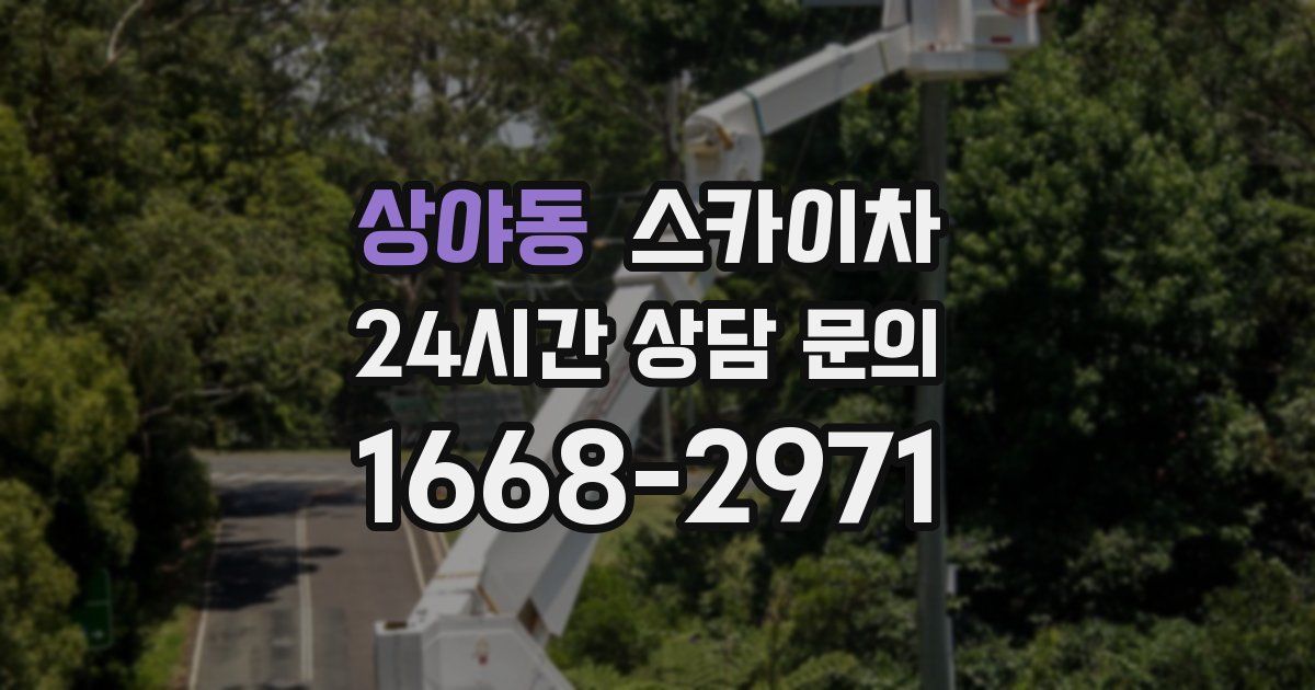 상야동 스카이차