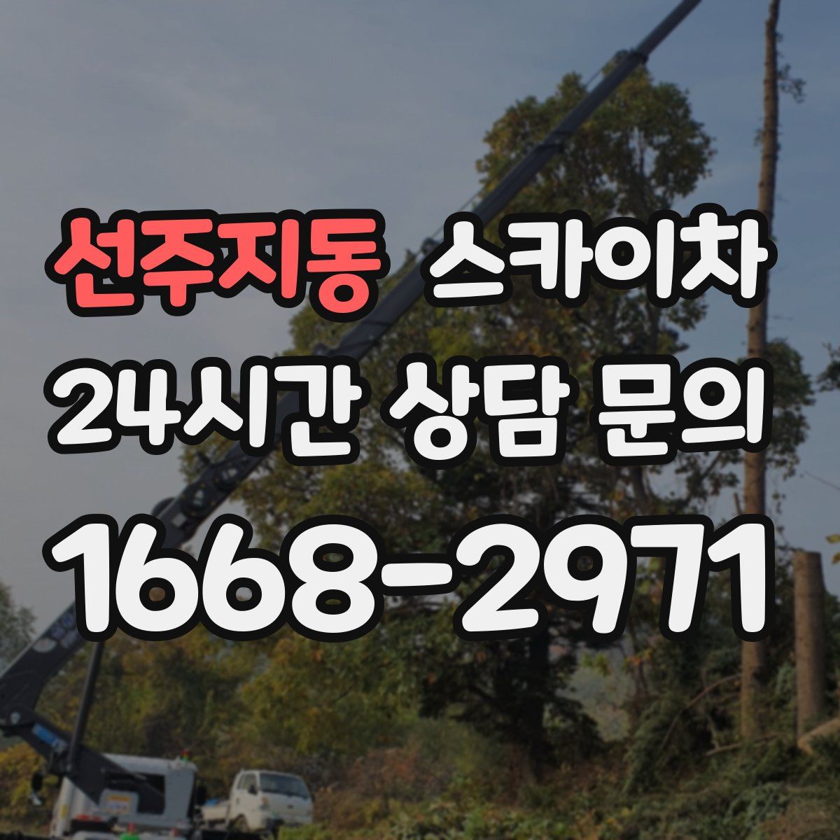 선주지동 스카이차