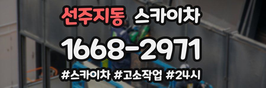 선주지동 스카이차