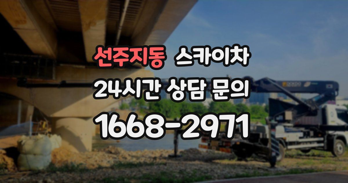 선주지동 스카이차