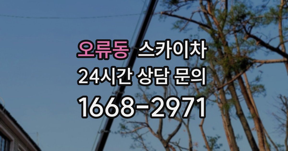 오류동 스카이차