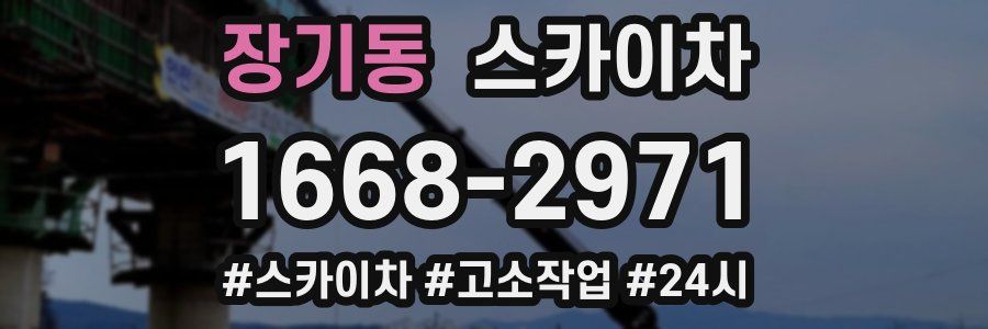 장기동 스카이차