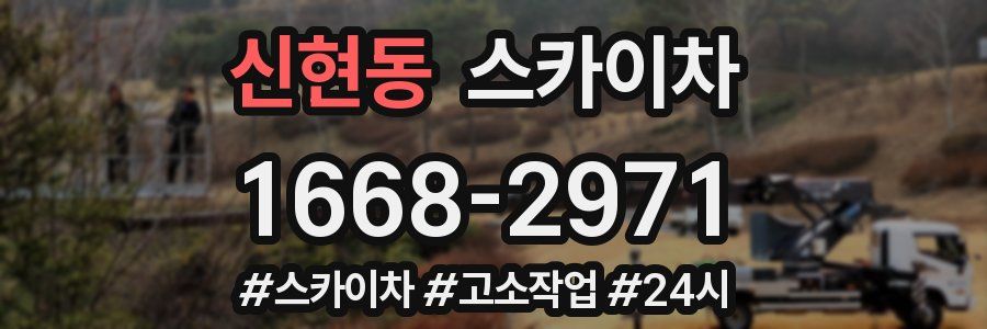 신현동 스카이차