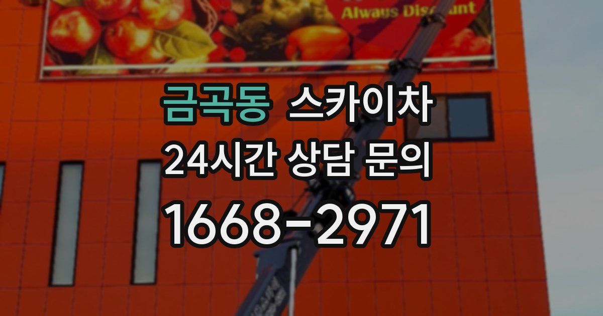 금곡동 스카이차