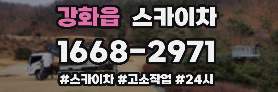 강화읍 스카이차