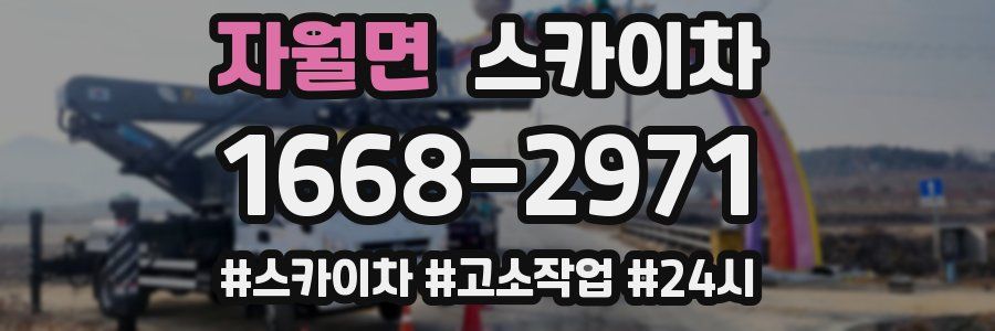 자월면 스카이차