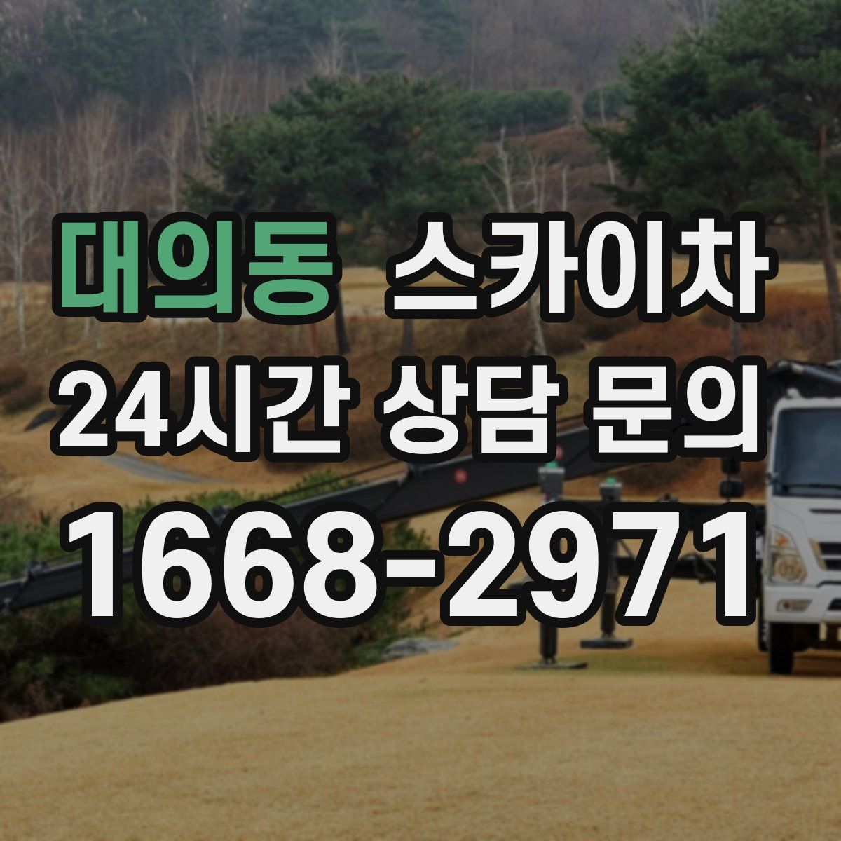 대의동 스카이차