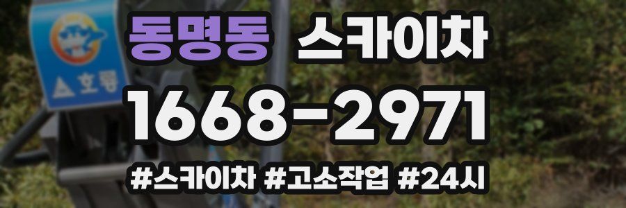 동명동 스카이차