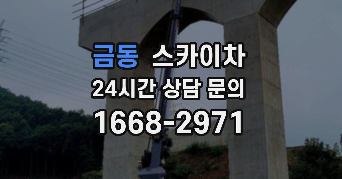 금동 스카이차