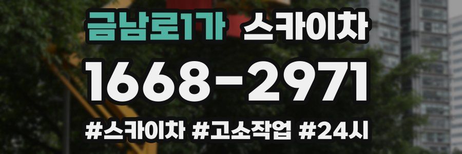 금남로1가 스카이차
