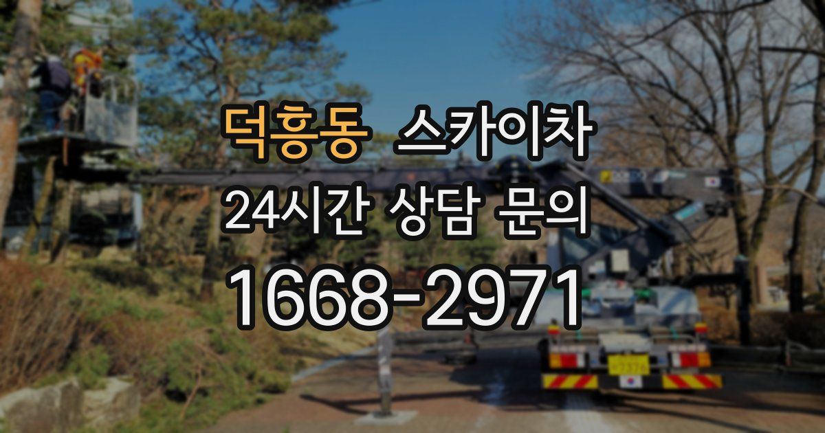 덕흥동 스카이차