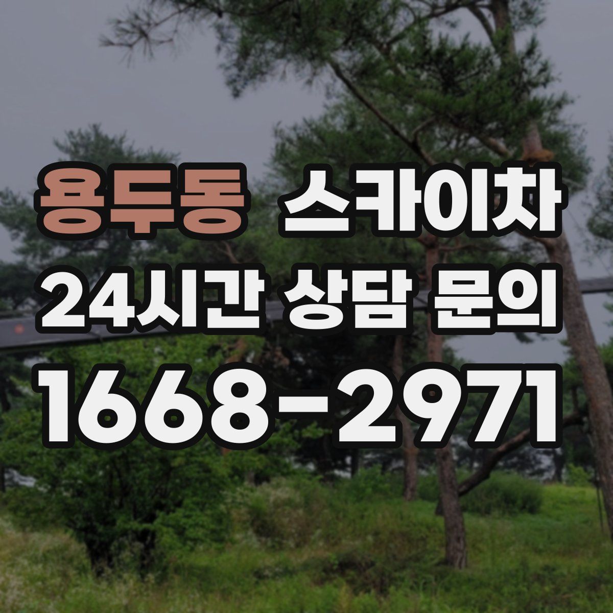 용두동 스카이차