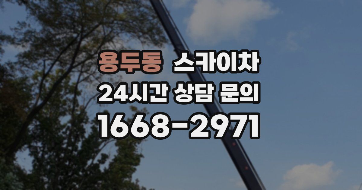 용두동 스카이차