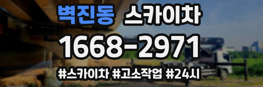 벽진동 스카이차