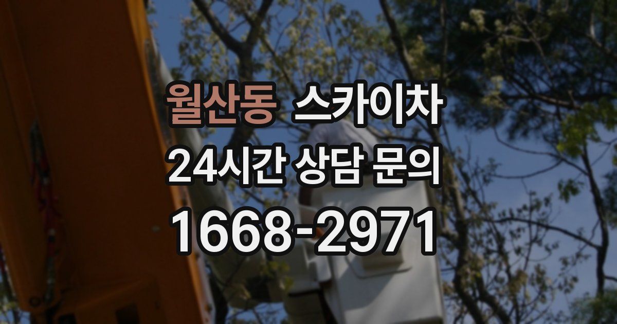 월산동 스카이차