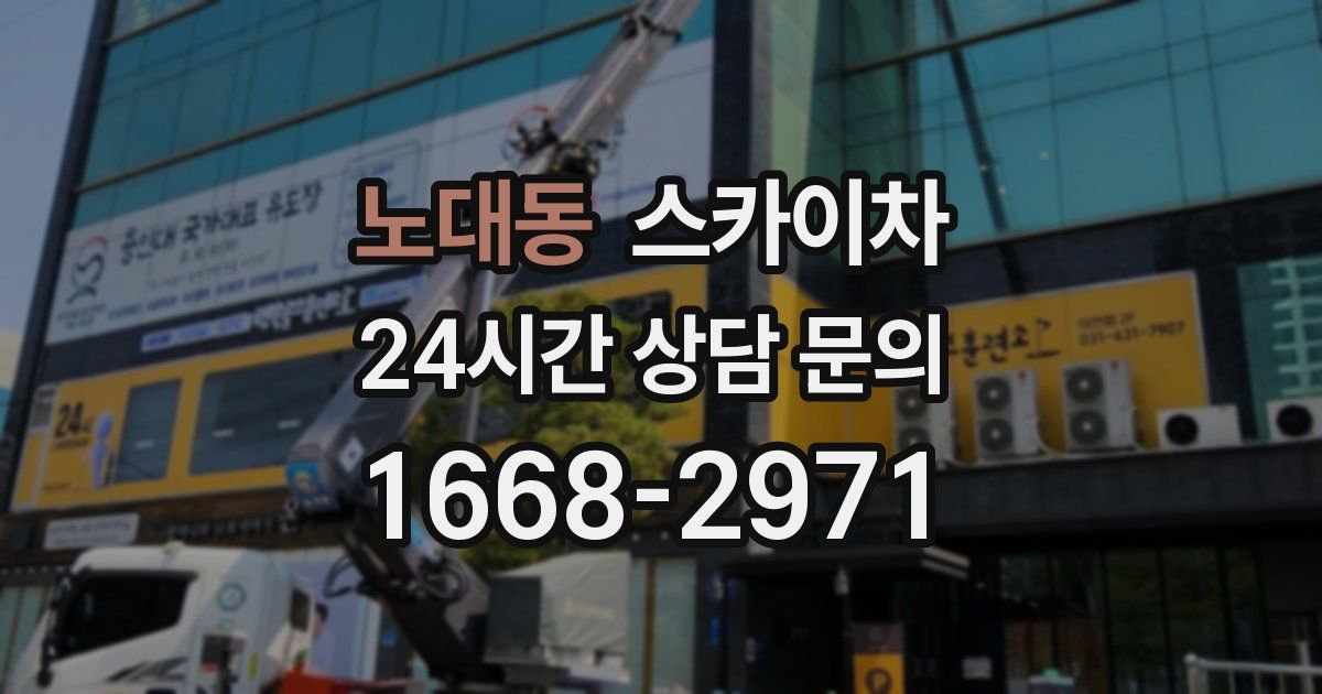 노대동 스카이차