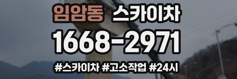 임암동 스카이차