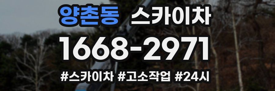 양촌동 스카이차