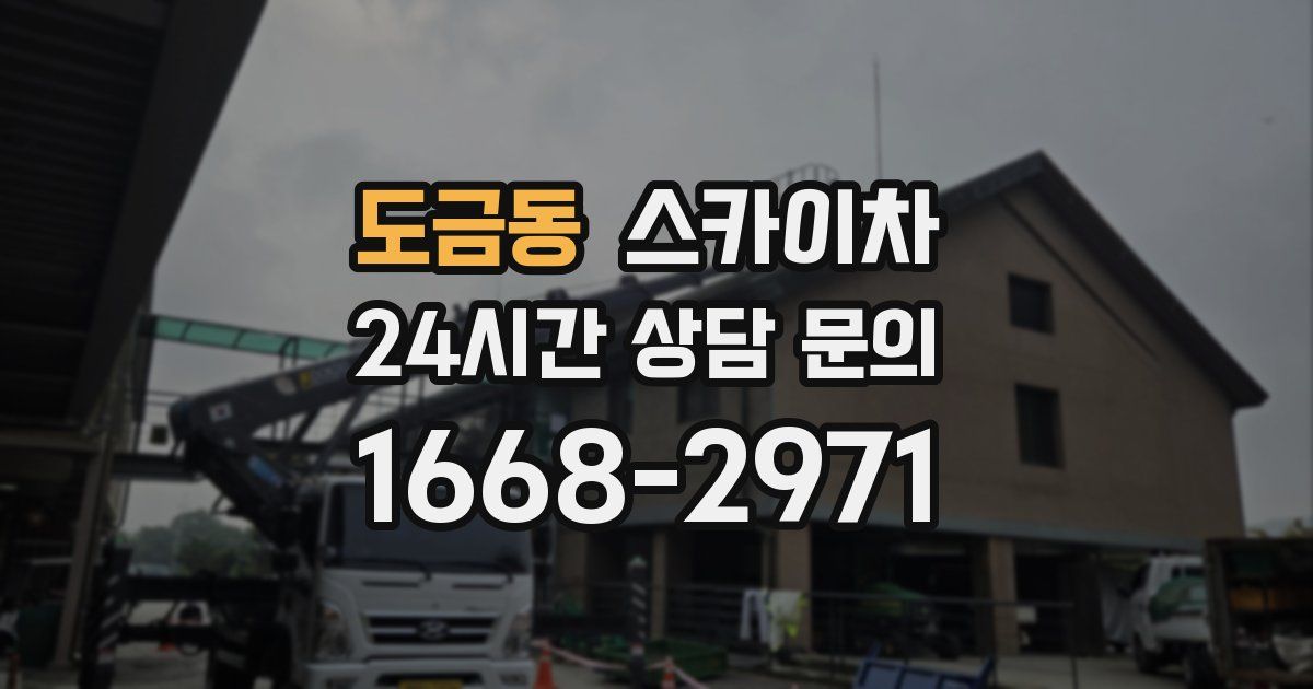 도금동 스카이차