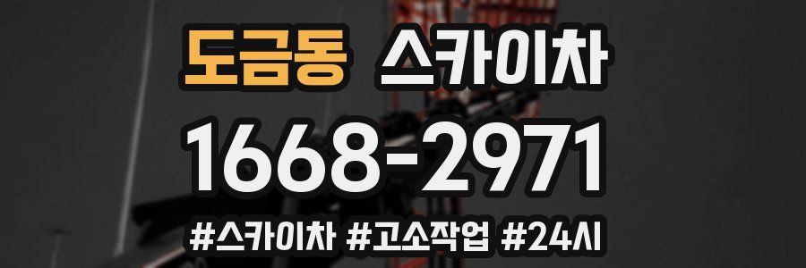 도금동 스카이차