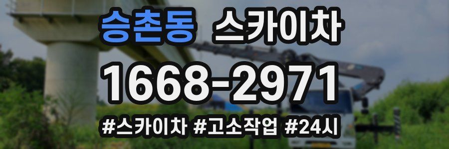 승촌동 스카이차