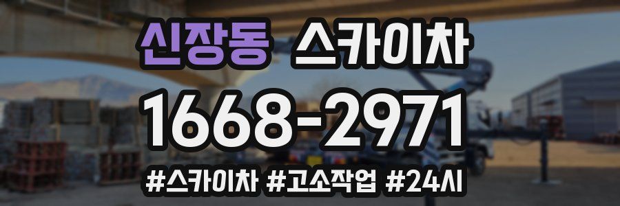 신장동 스카이차