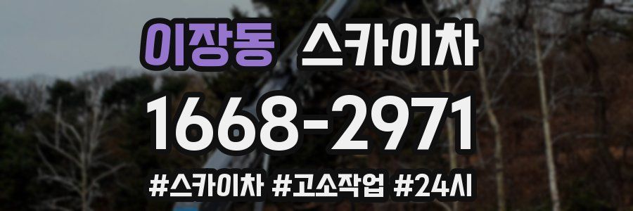 이장동 스카이차