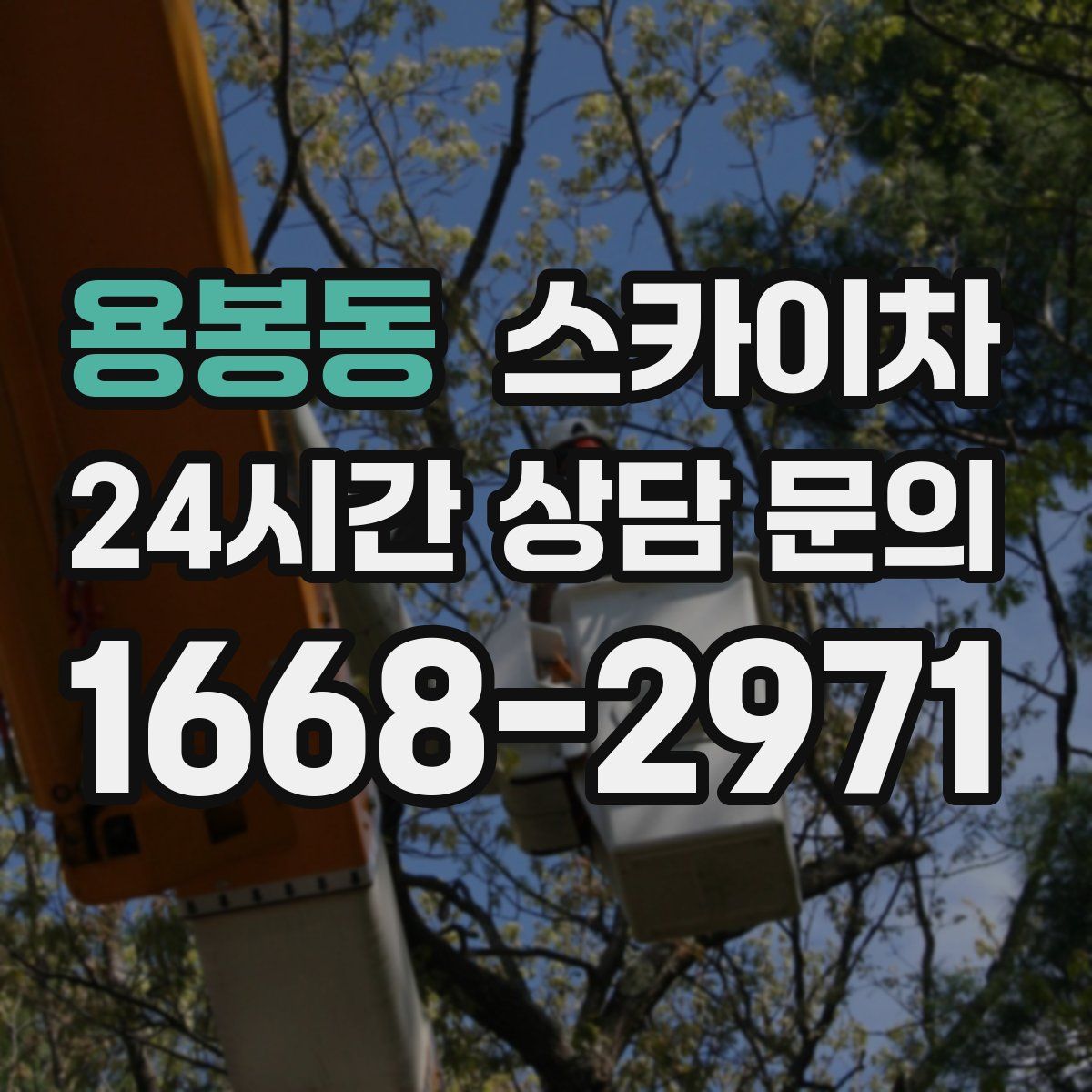 용봉동 스카이차