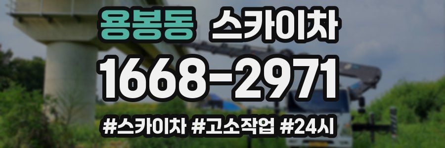 용봉동 스카이차