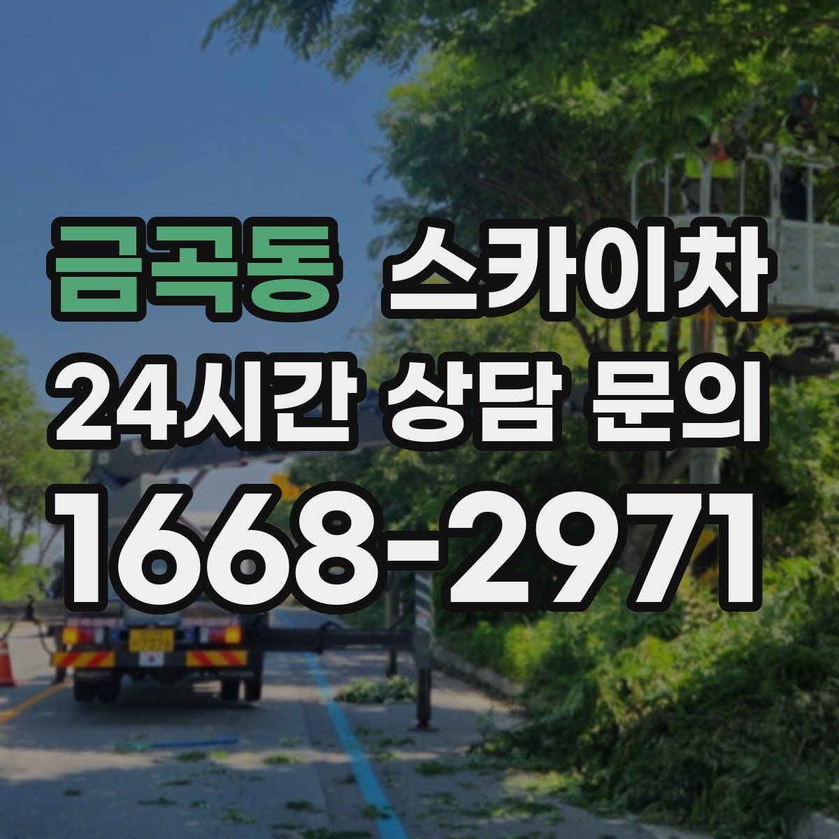 금곡동 스카이차