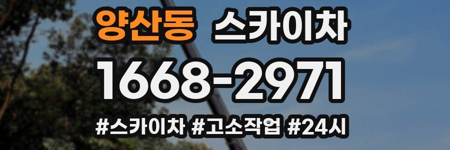 양산동 스카이차