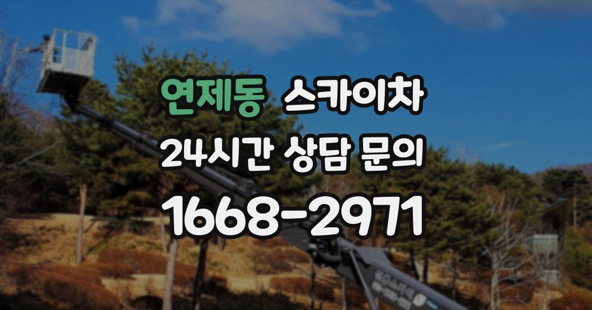 연제동 스카이차