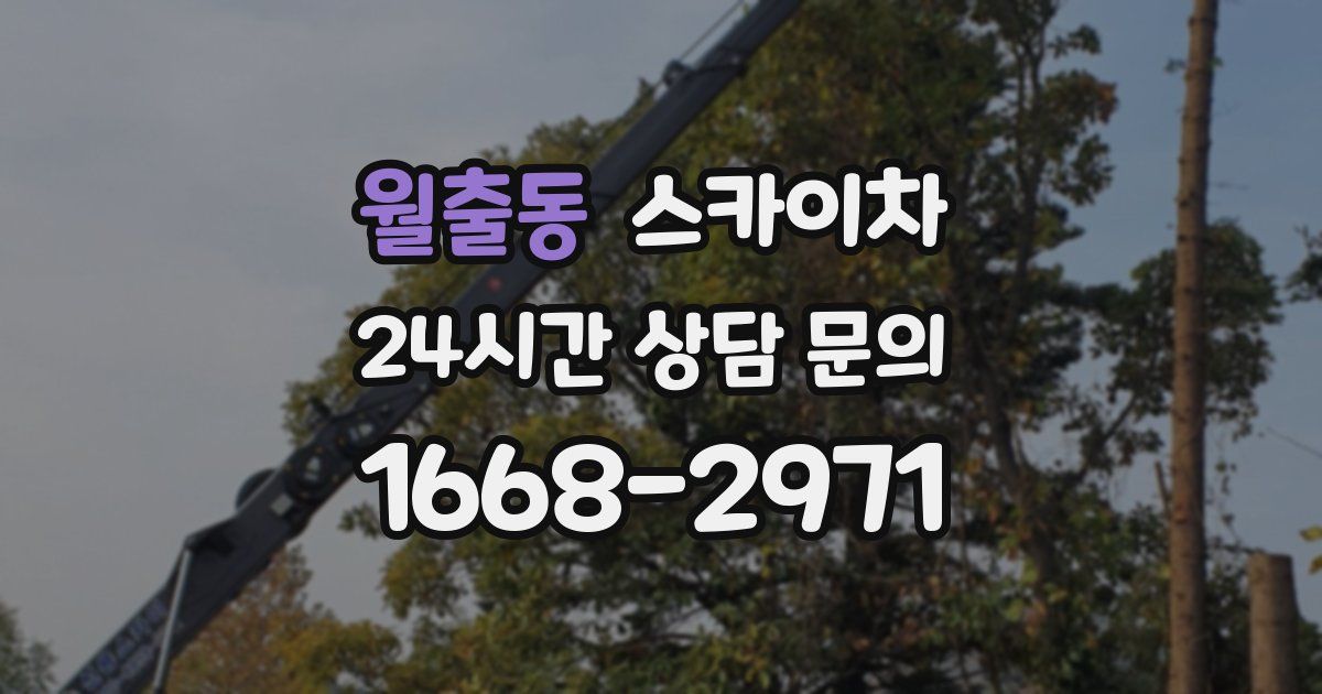 월출동 스카이차