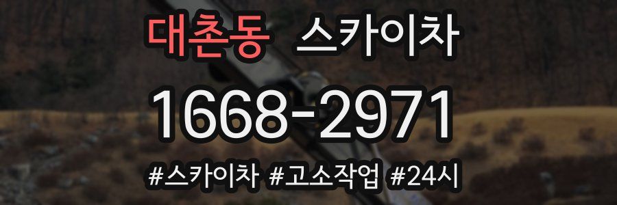 대촌동 스카이차