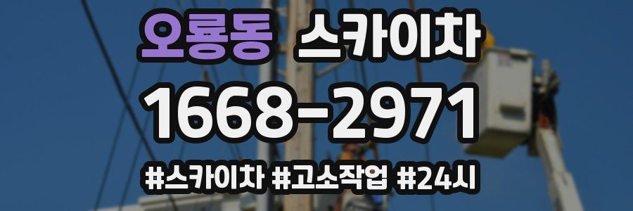 오룡동 스카이차