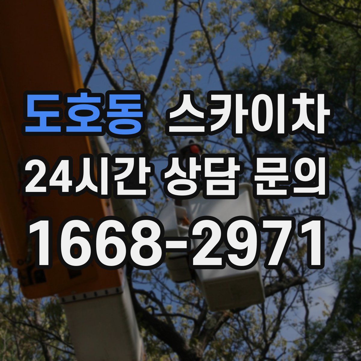 도호동 스카이차