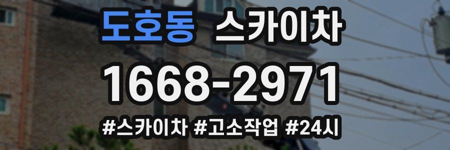 도호동 스카이차