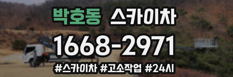 박호동 스카이차