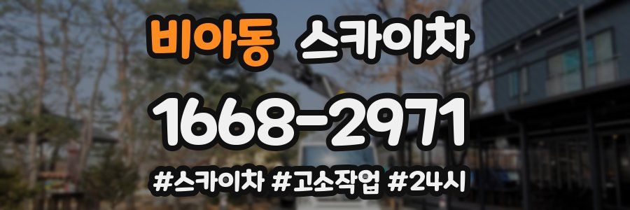 비아동 스카이차