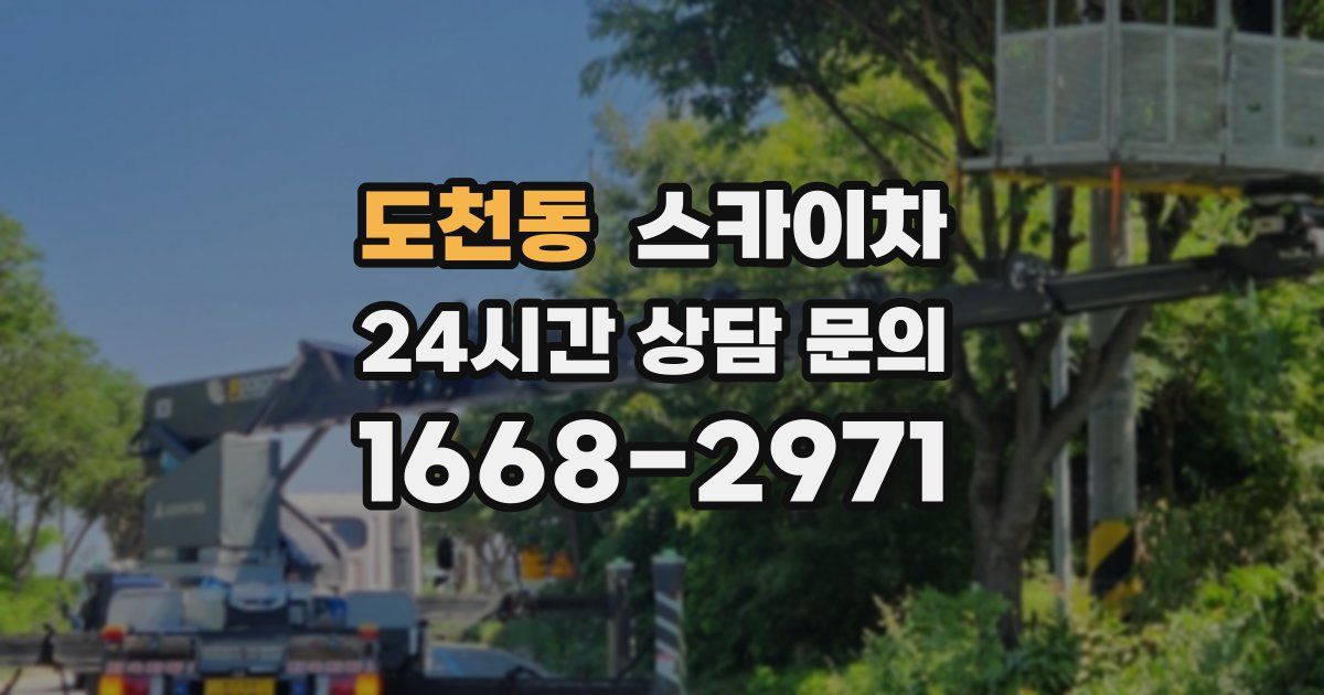 도천동 스카이차