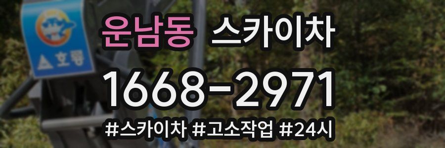 운남동 스카이차