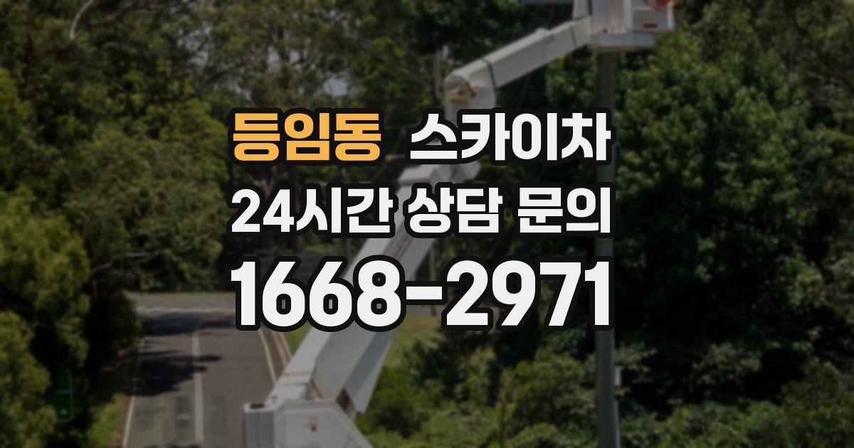 등임동 스카이차