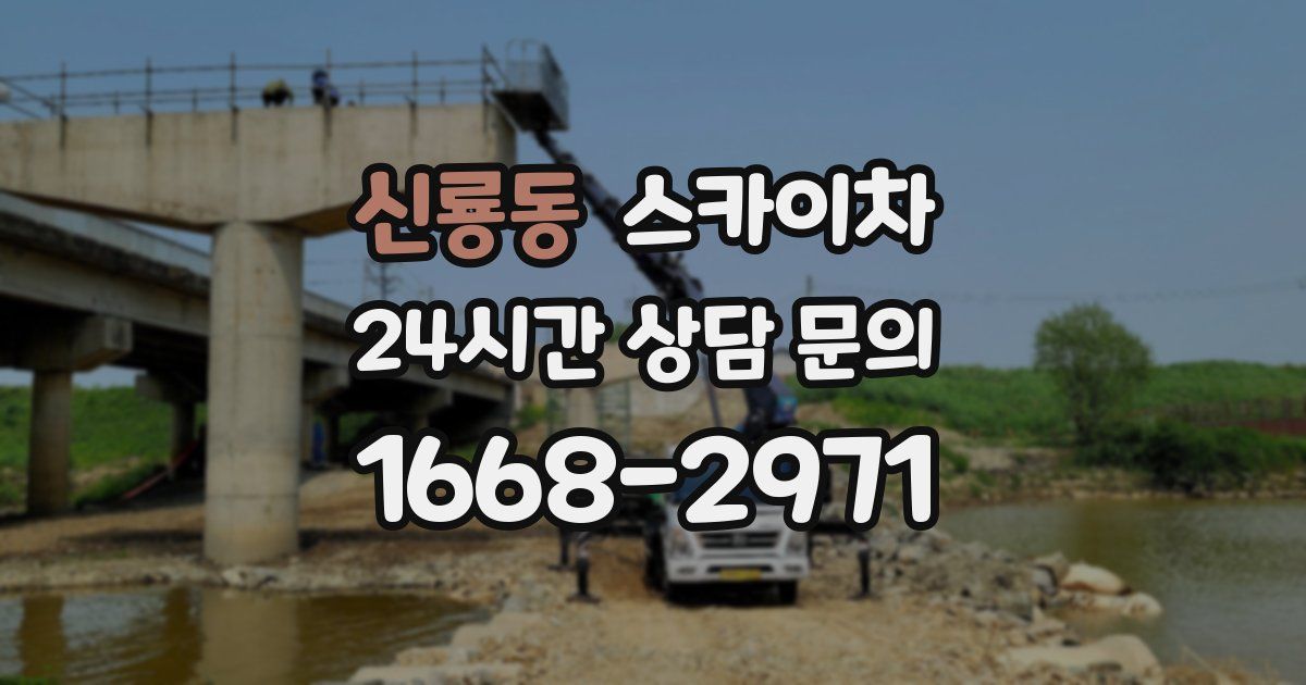 신룡동 스카이차