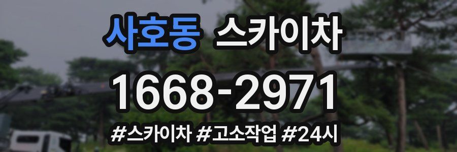 사호동 스카이차