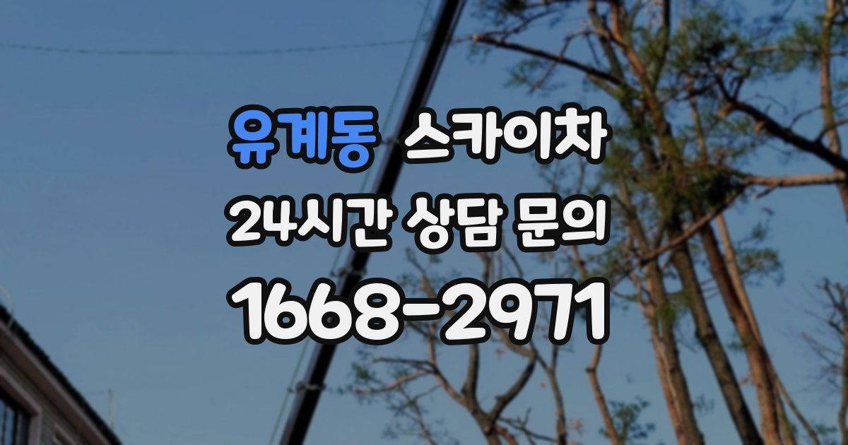 유계동 스카이차